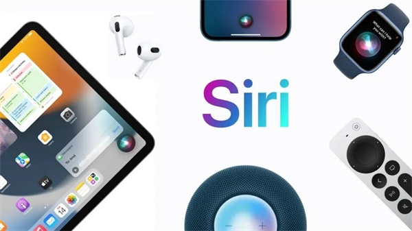 1684932168359160.jpg 10 - 640?wx_fmt=webp.jpg